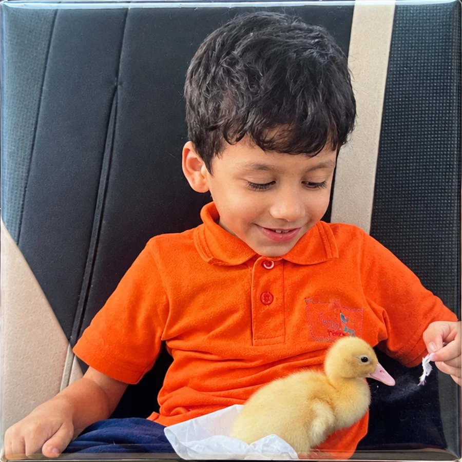 The finished photo magnet of a boy holding a duckling